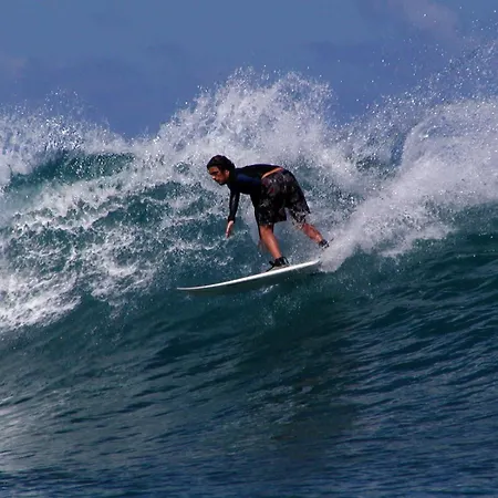 Tiny House Paulina De Luxe