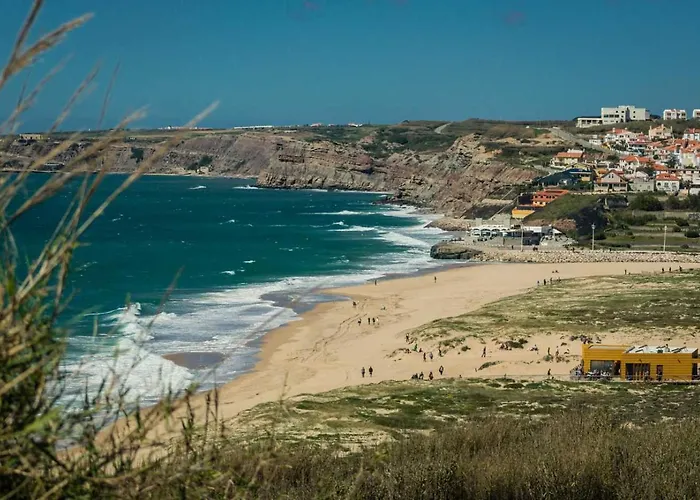 Vakantiehuis Tiny House Paulina De Luxe